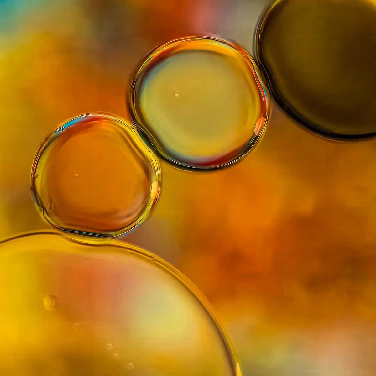 Immiscible: abstract of oil and water with a colorful background. 