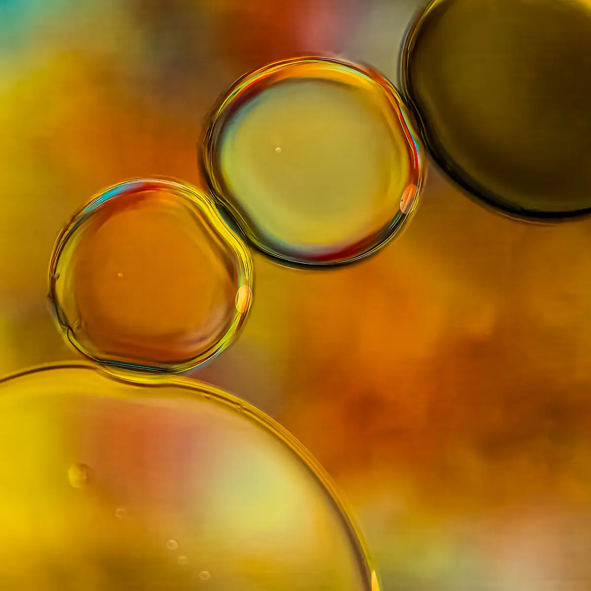 Immiscible: abstract of oil and water with a colorful background. 