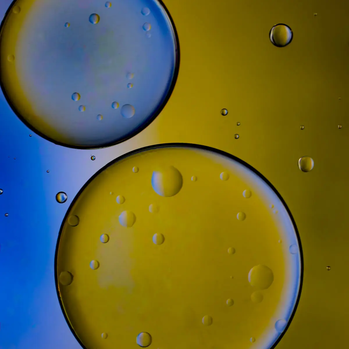 Immiscible: abstract of oil and water with a colorful background. 