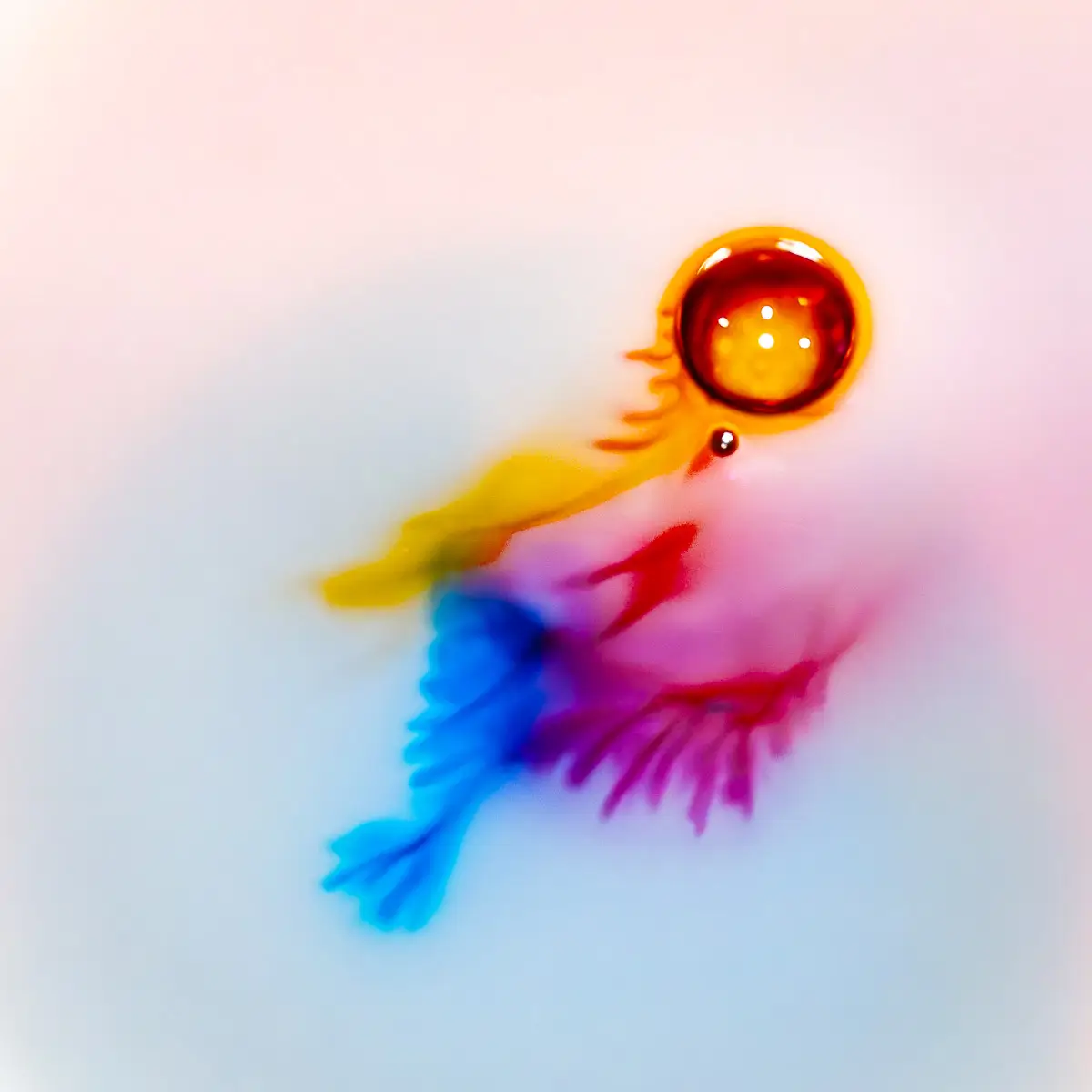 Milk and food coloring abstract