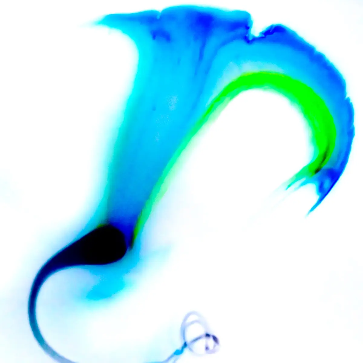 Milk and food coloring abstract. Looks like a blue flower