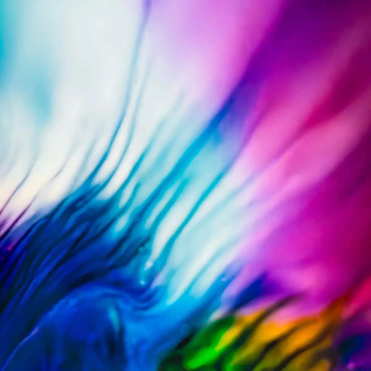 Milk and food coloring abstract. Colorful