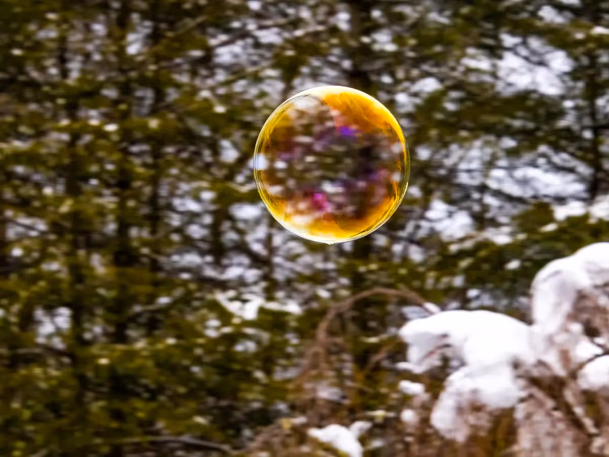 soap bubble floating amonst the trees