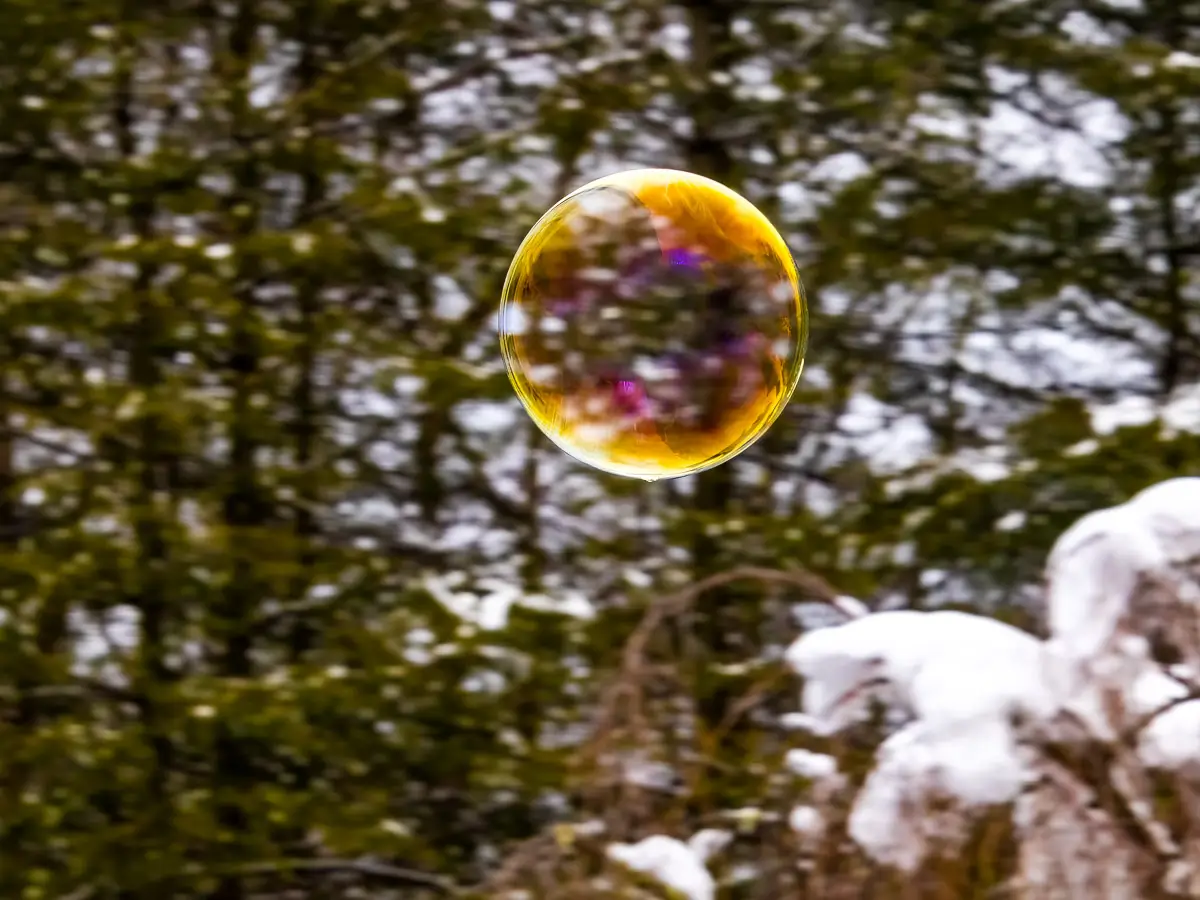 soap bubble floating amonst the trees