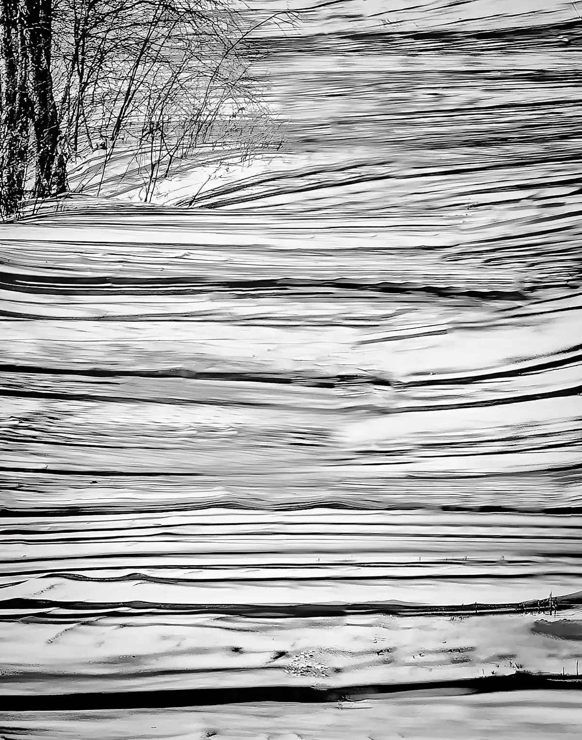 shadows of trees create black stripes on a snowy hill
