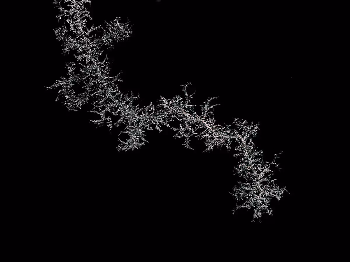 crackled, frozen flakes stuck to a glass wall, black and white