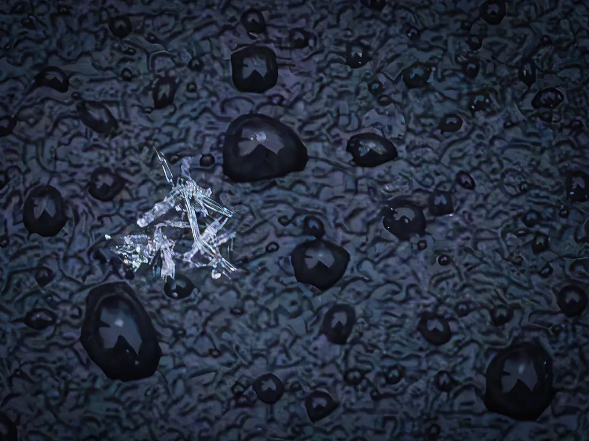 a single snowflake close up surrounded by melted snowflakes resulting in water drops