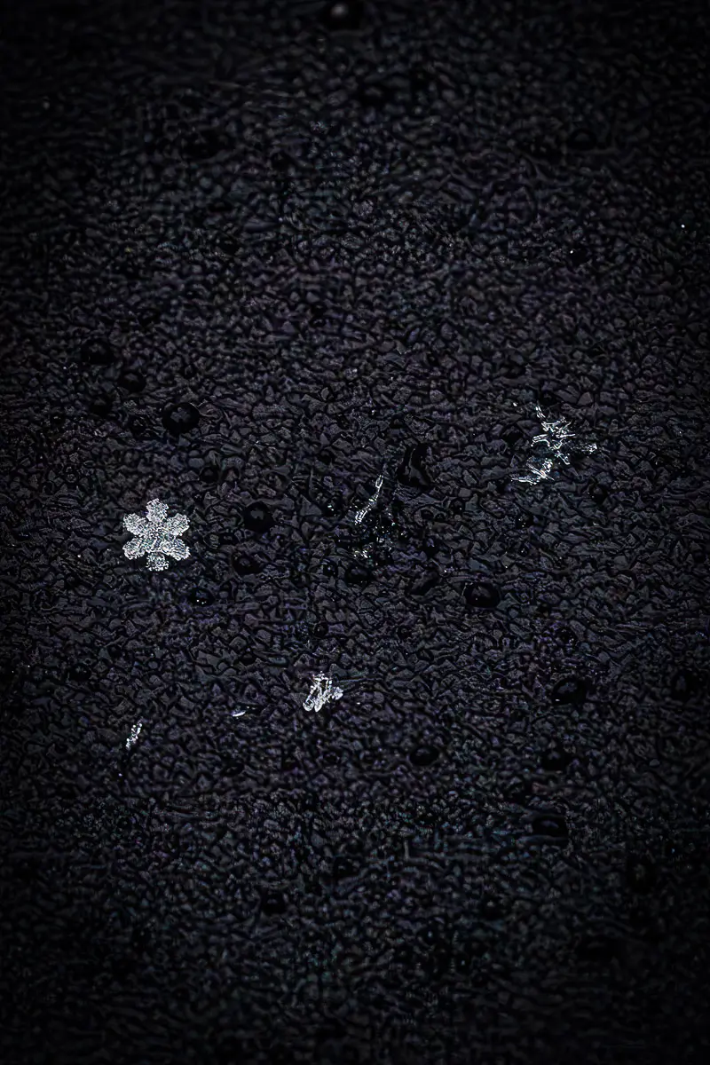 snowflakes on the ground
