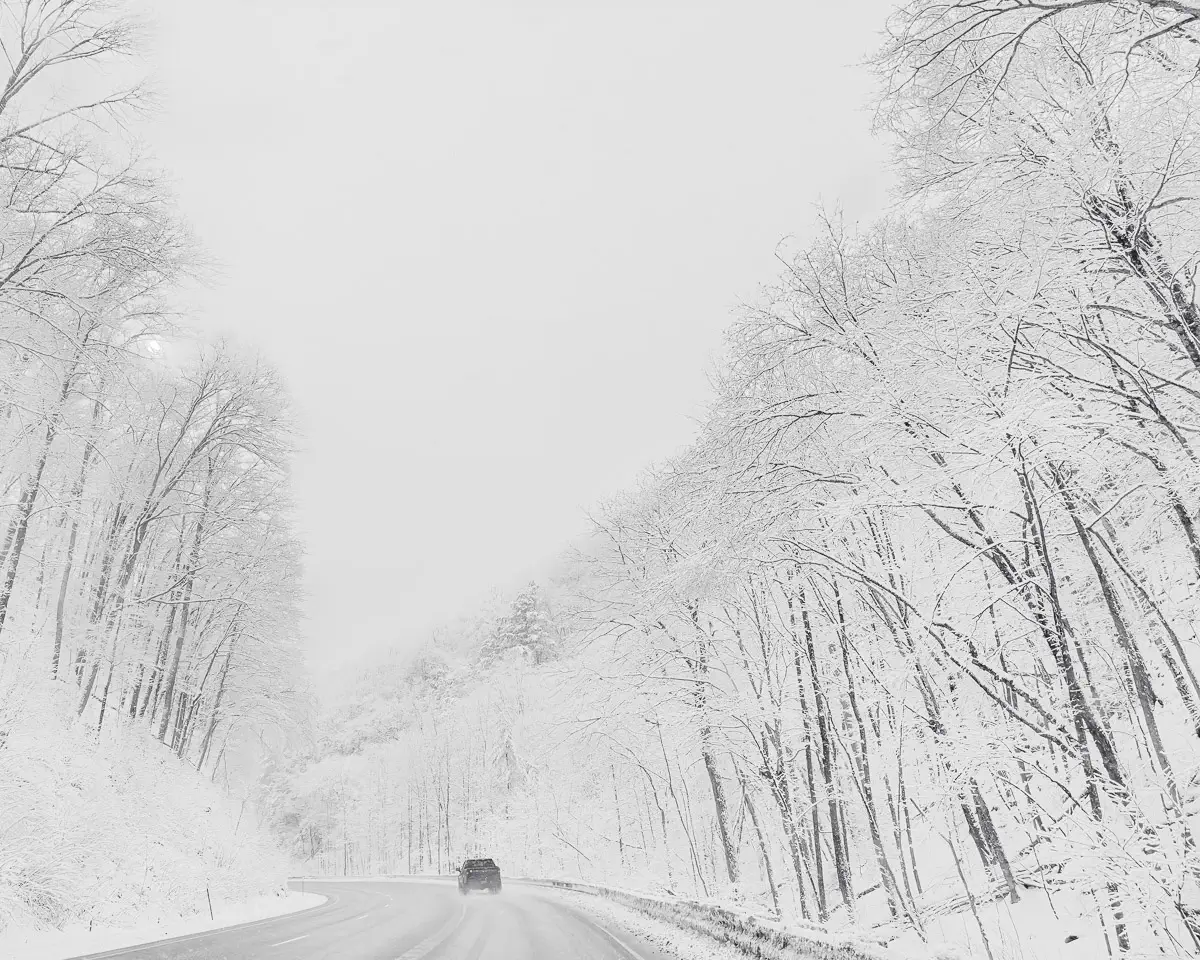a single car driving down a snowy, serene road lined with snow covered trees