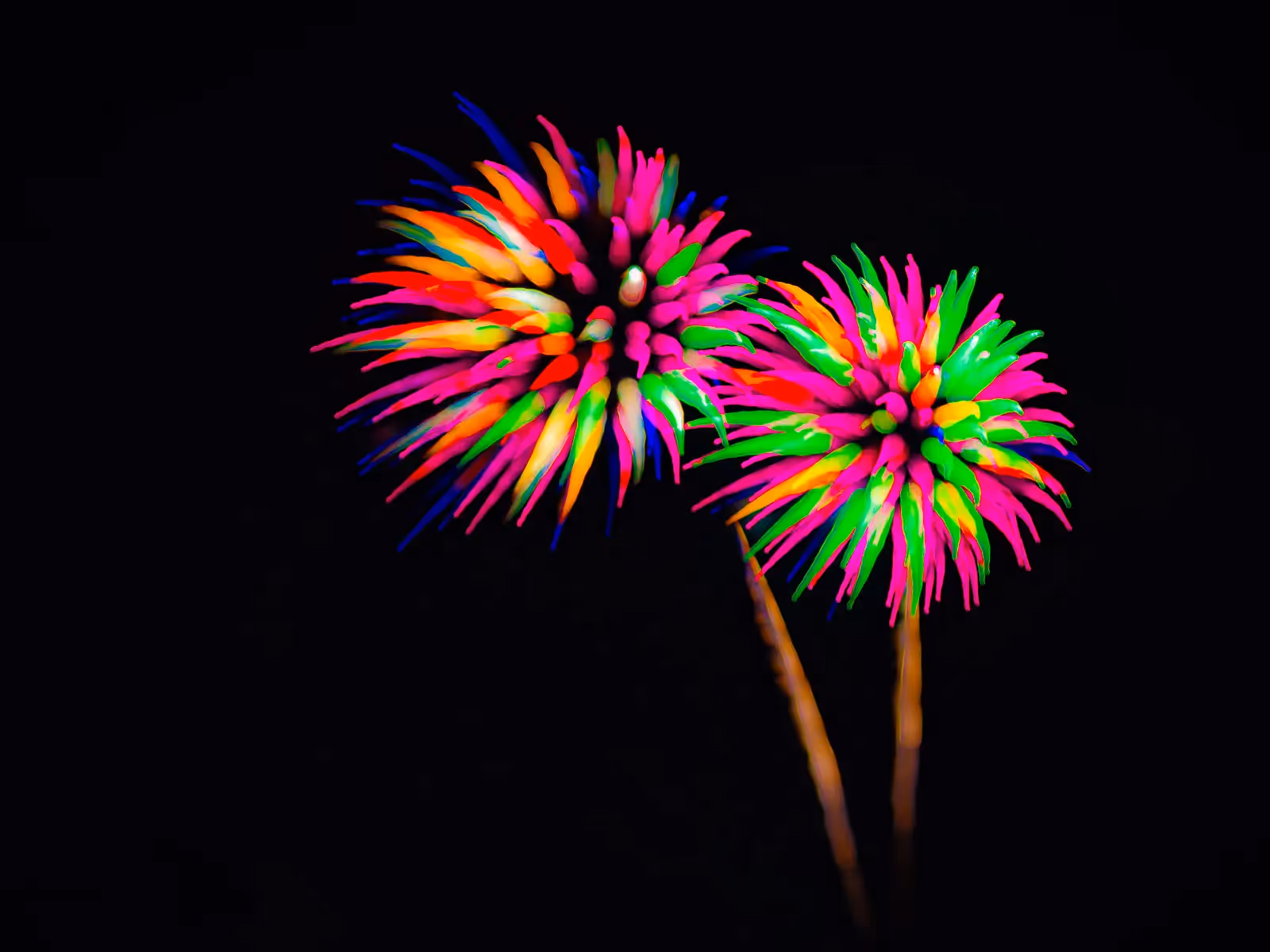 Abstract fireworks: colorful flowers