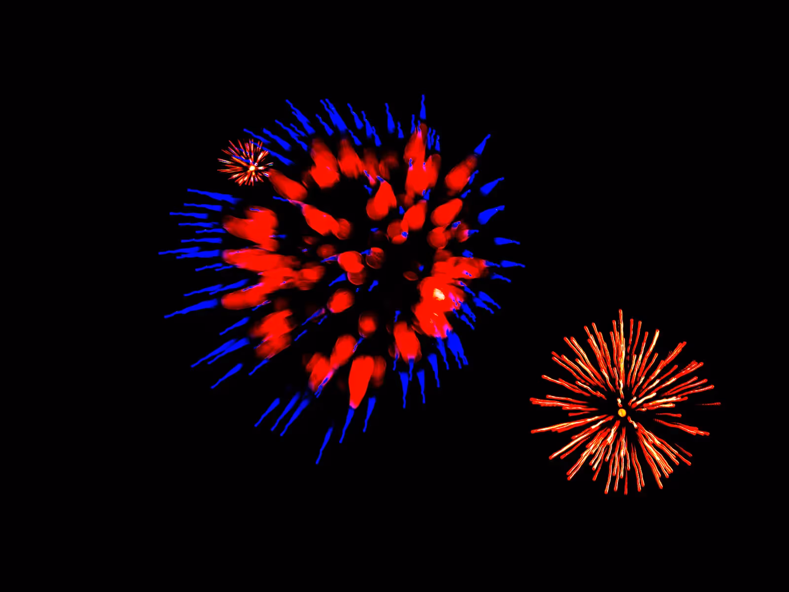 Abstract fireworks: colorful flowers