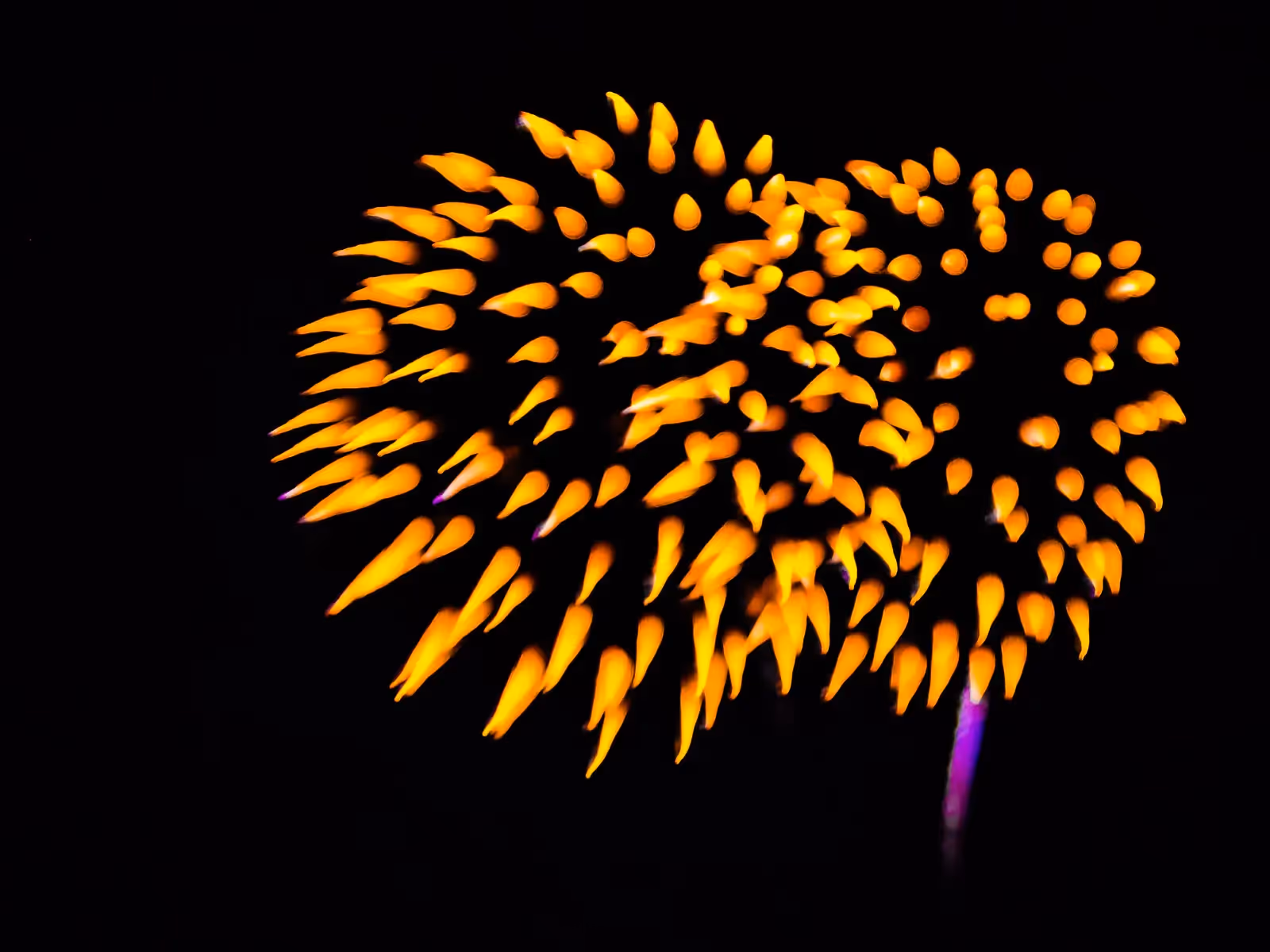 Abstract fireworks: golden flowers