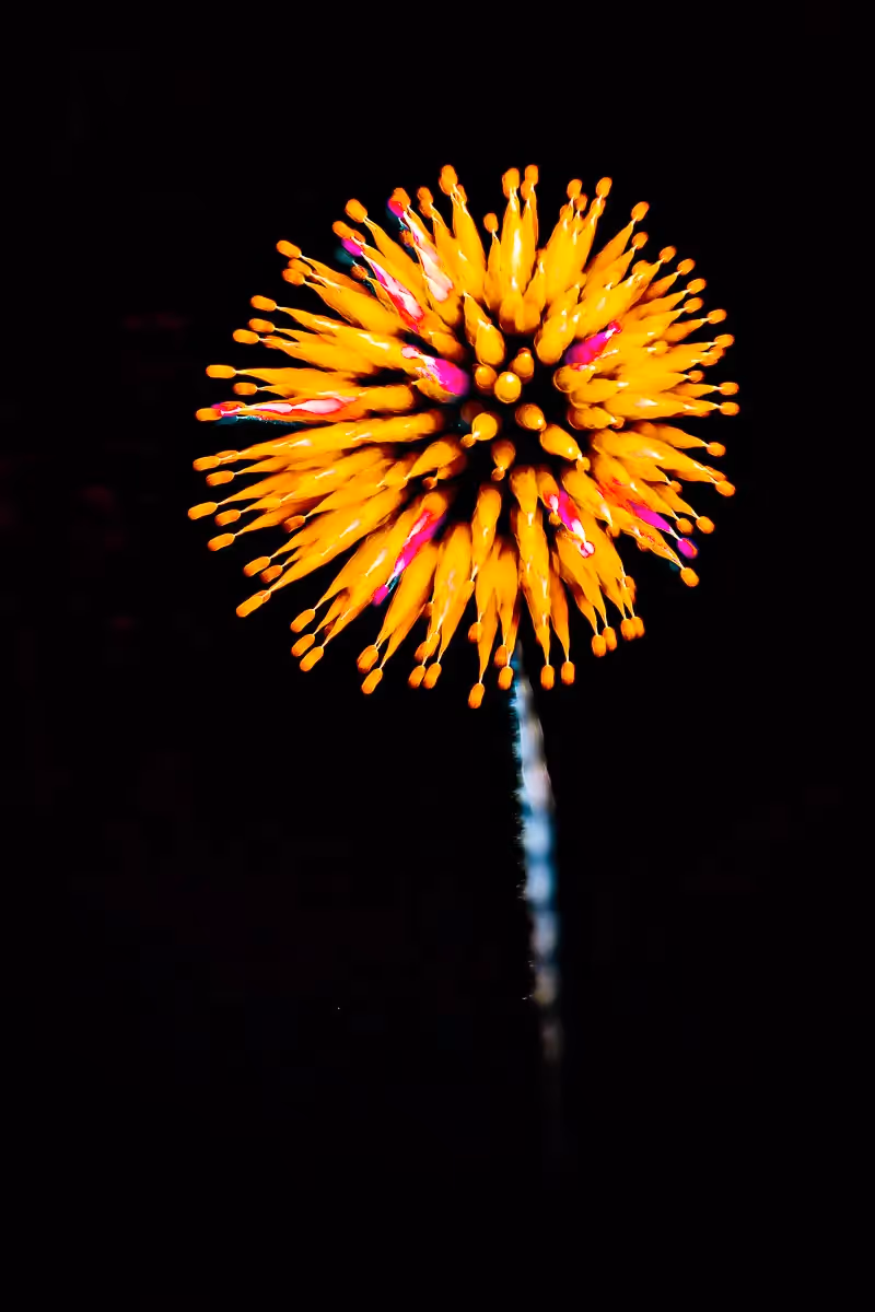 Abstract fireworks: yellow flowers