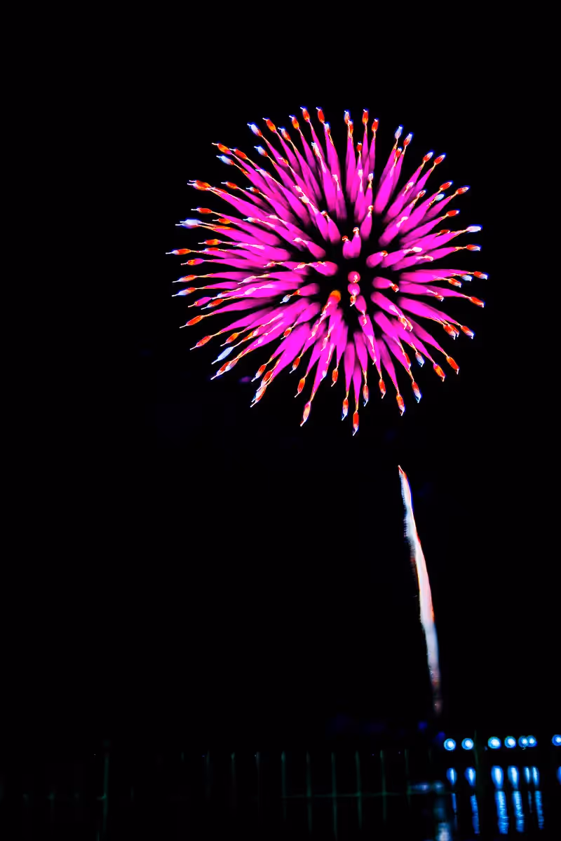 Abstract fireworks: pink flowers