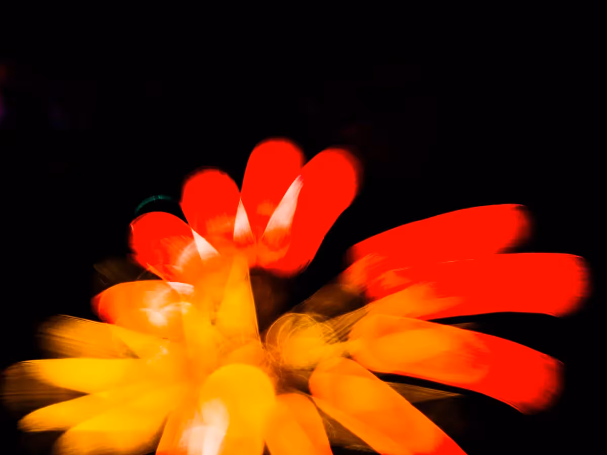 Abstract fireworks