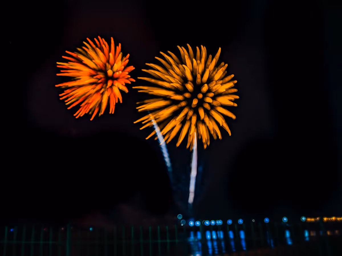 Abstract fireworks: golden flowers