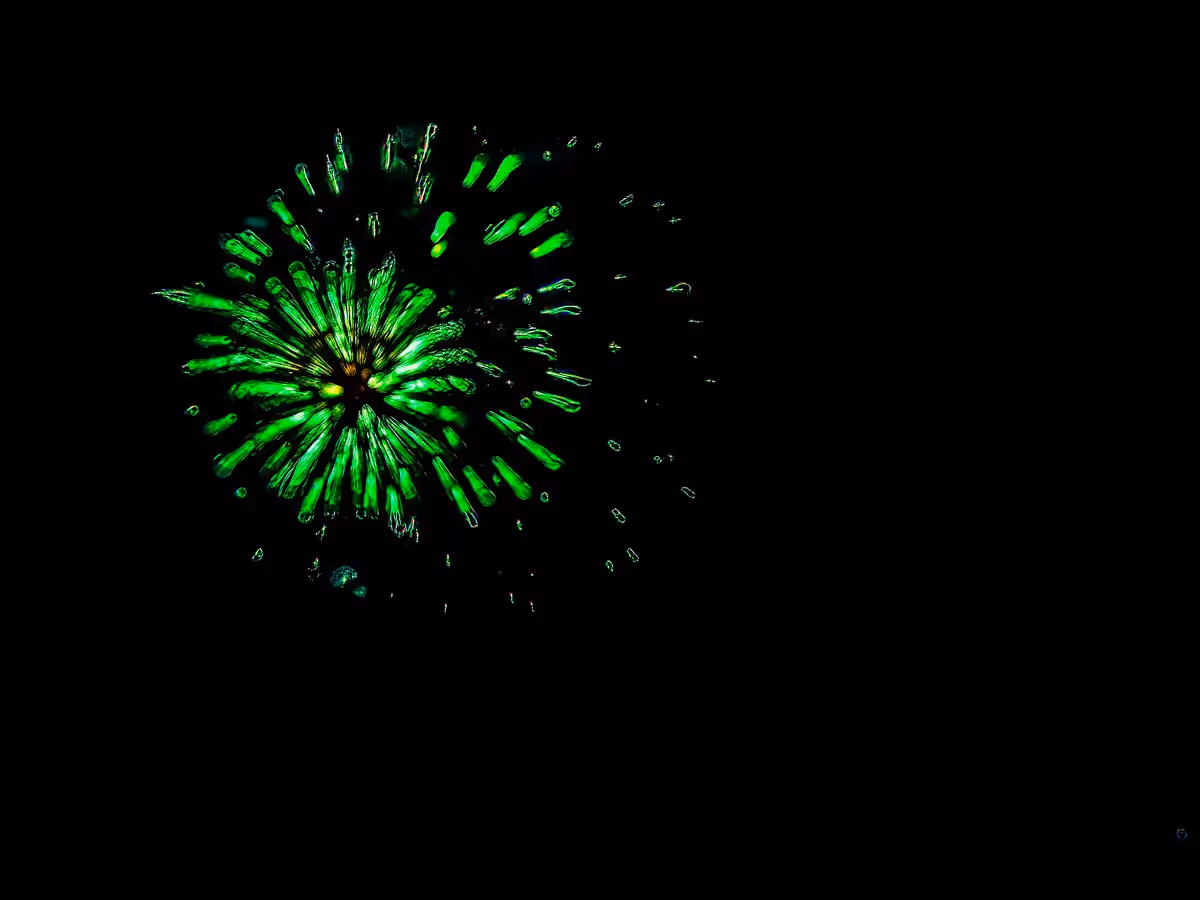 Abstract fireworks: green streamers