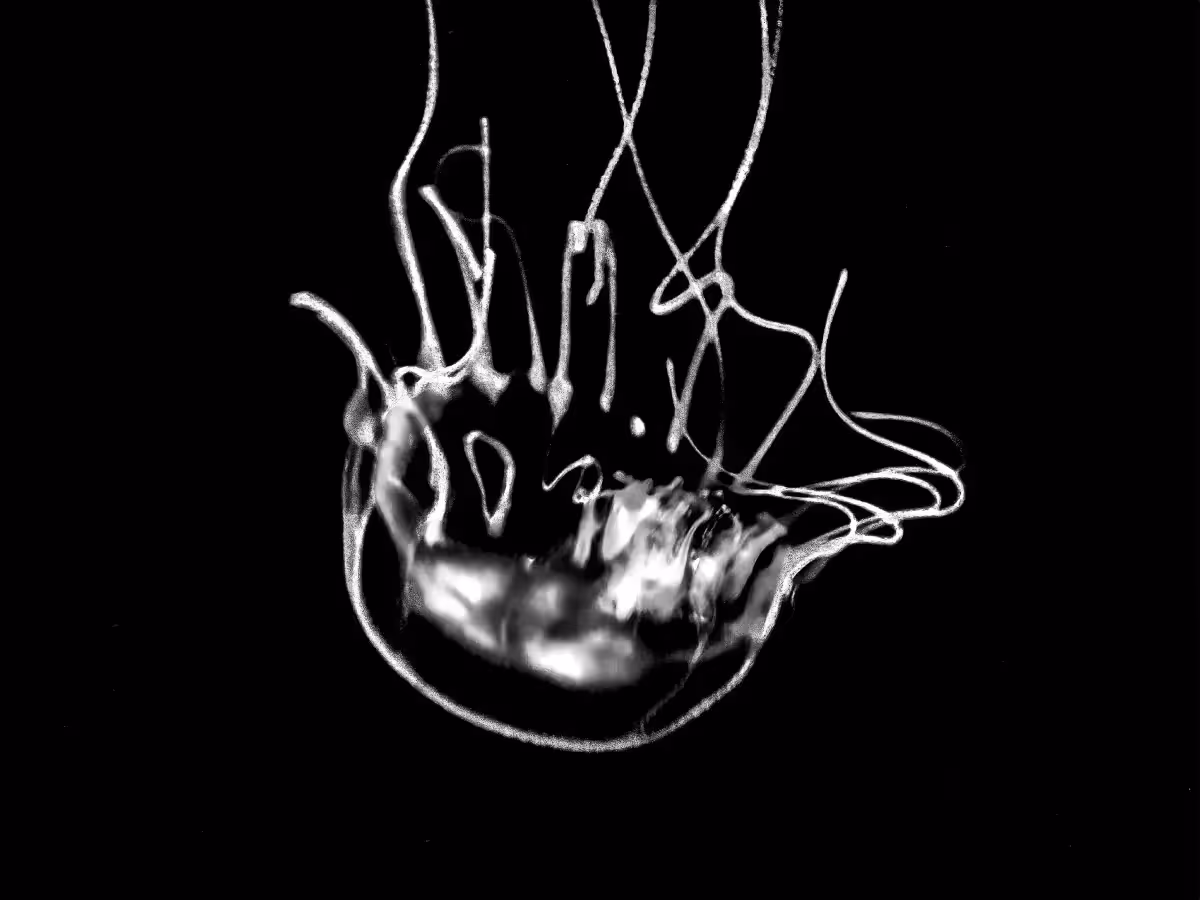 Black and white floating form of a jellyfish creating an abstract shape