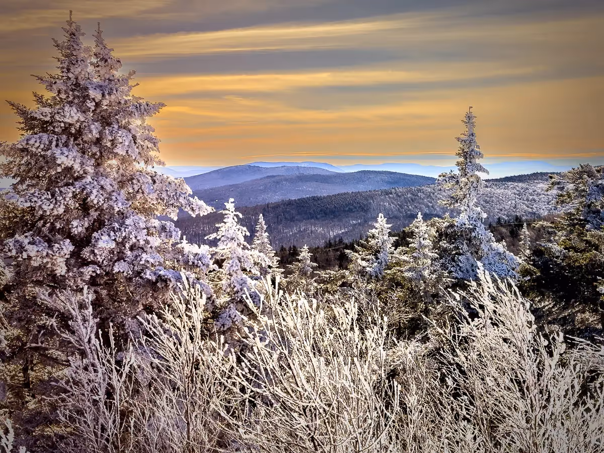 Snow covered trees with mountains in the background during sunset at Okemo Mountain, Ludlow, VT