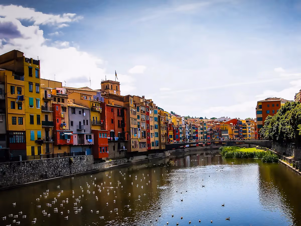 Colorful buildings line the waterway filled with birds in Spain
