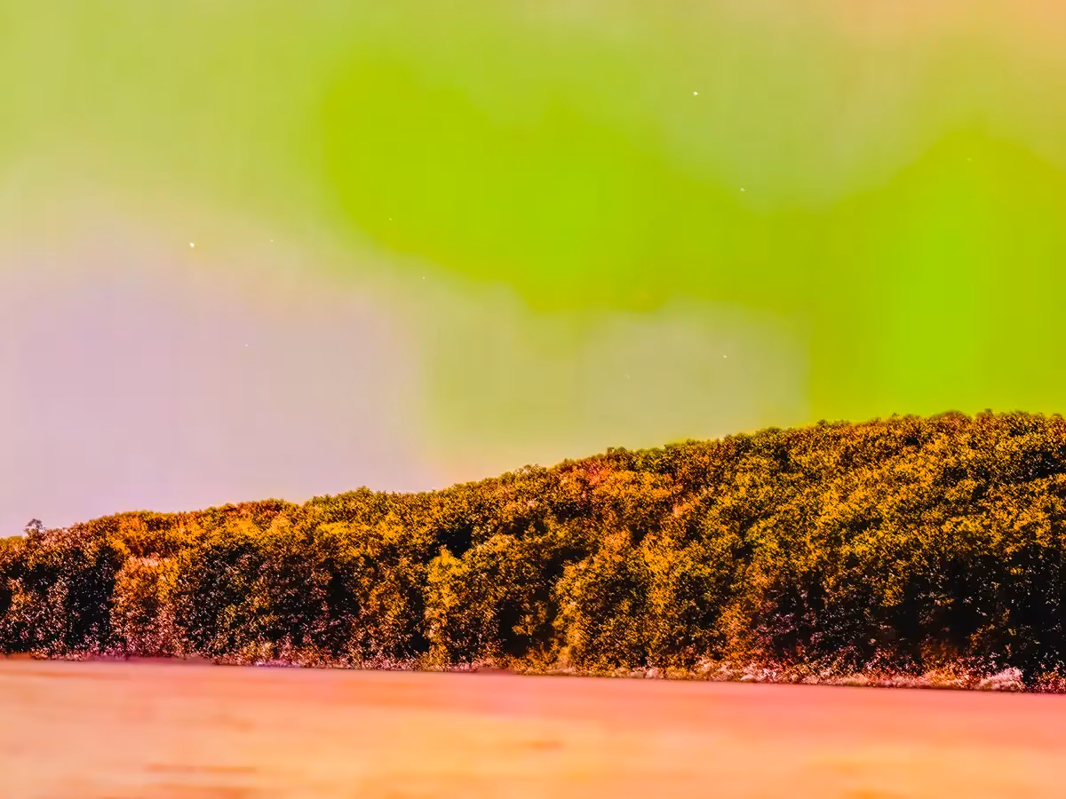 Aurora Borealis of bright green over Reservoir in Weston, CT