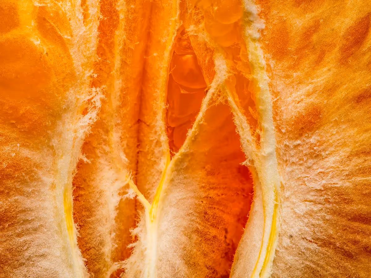macro shot of a section of an orange