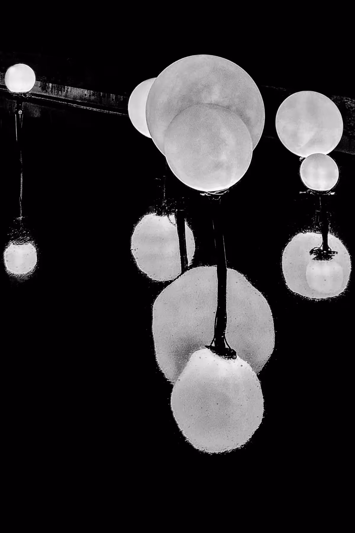 NY Botanical Garden, black and white of round lights and the reflections in water