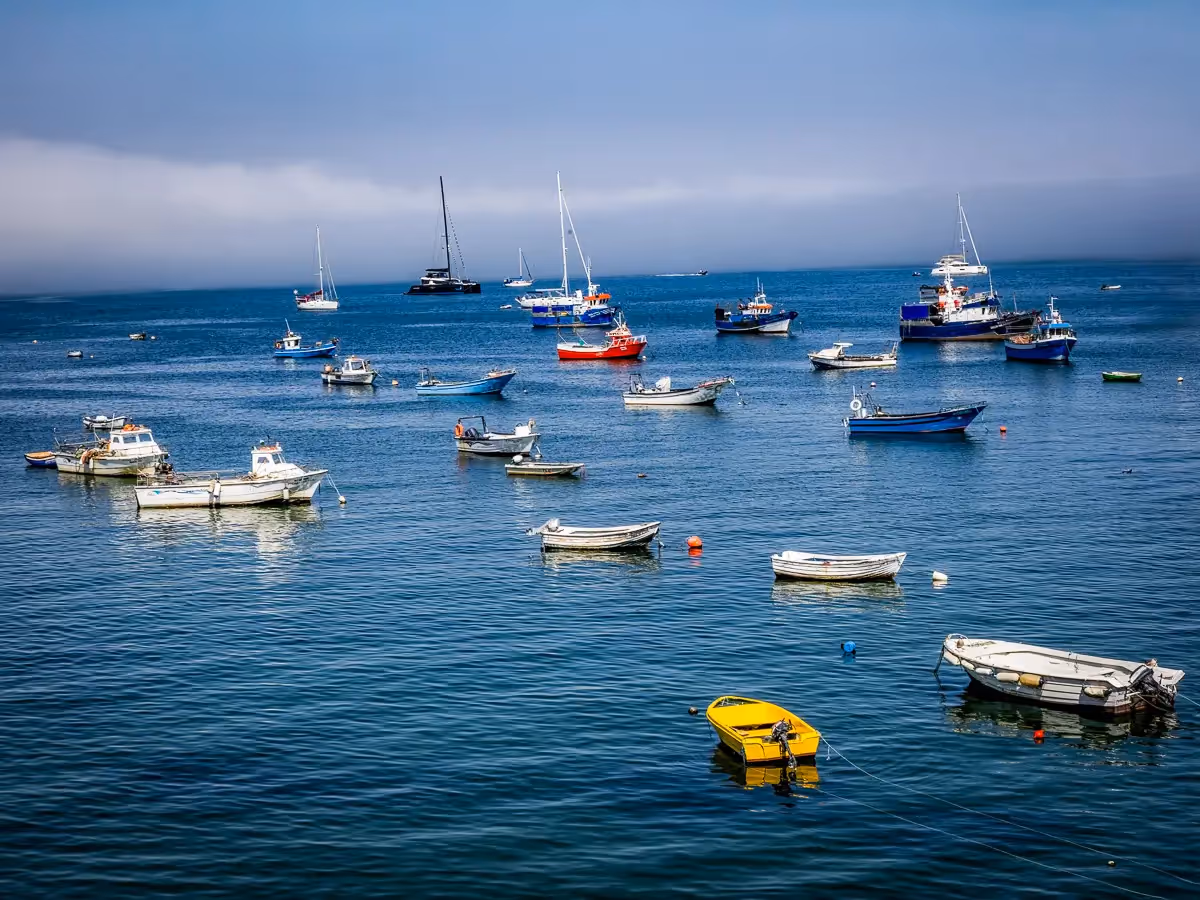 Portugal: Seaside scattered, colorful boats