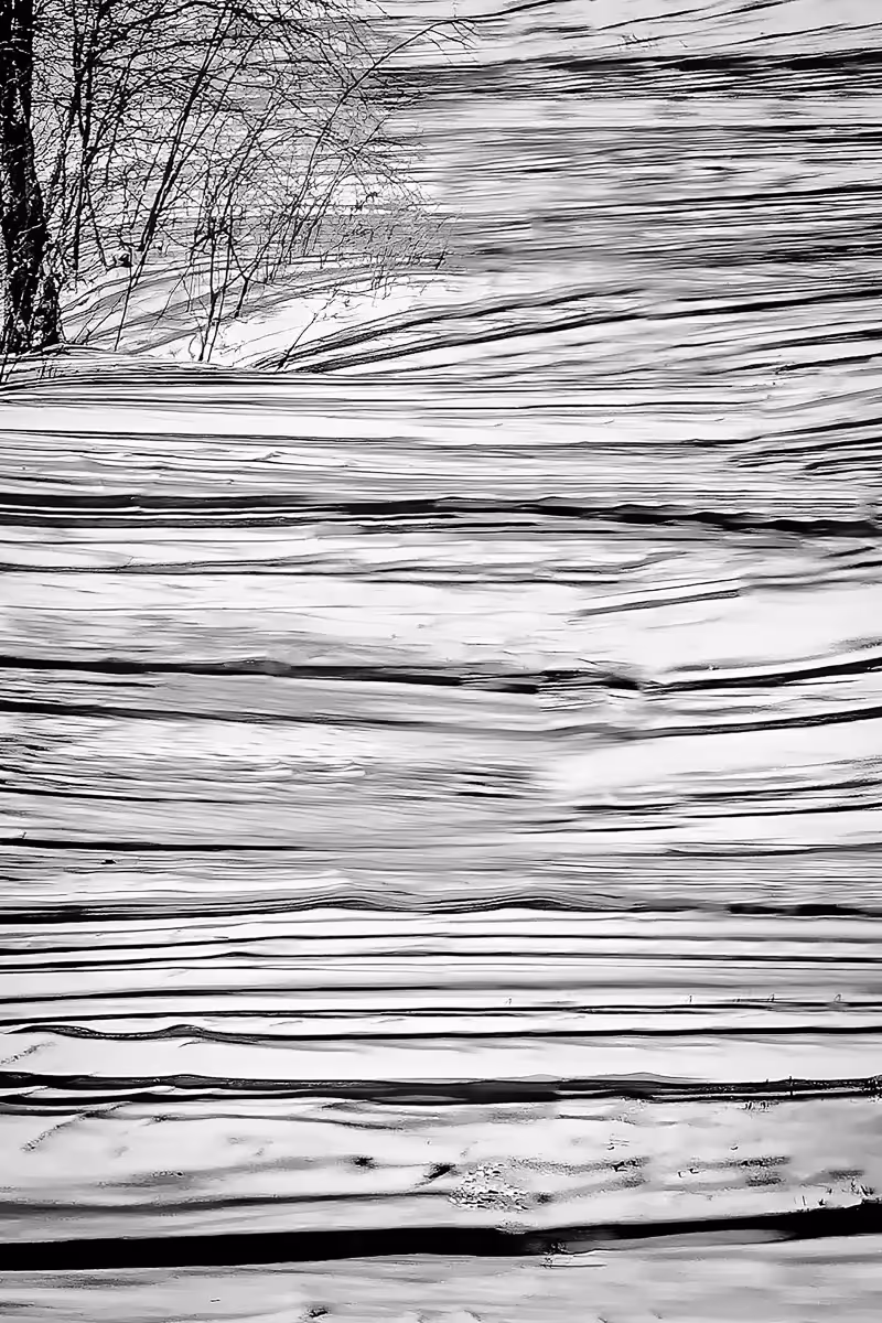 shadows of trees create black stripes on a snowy hill