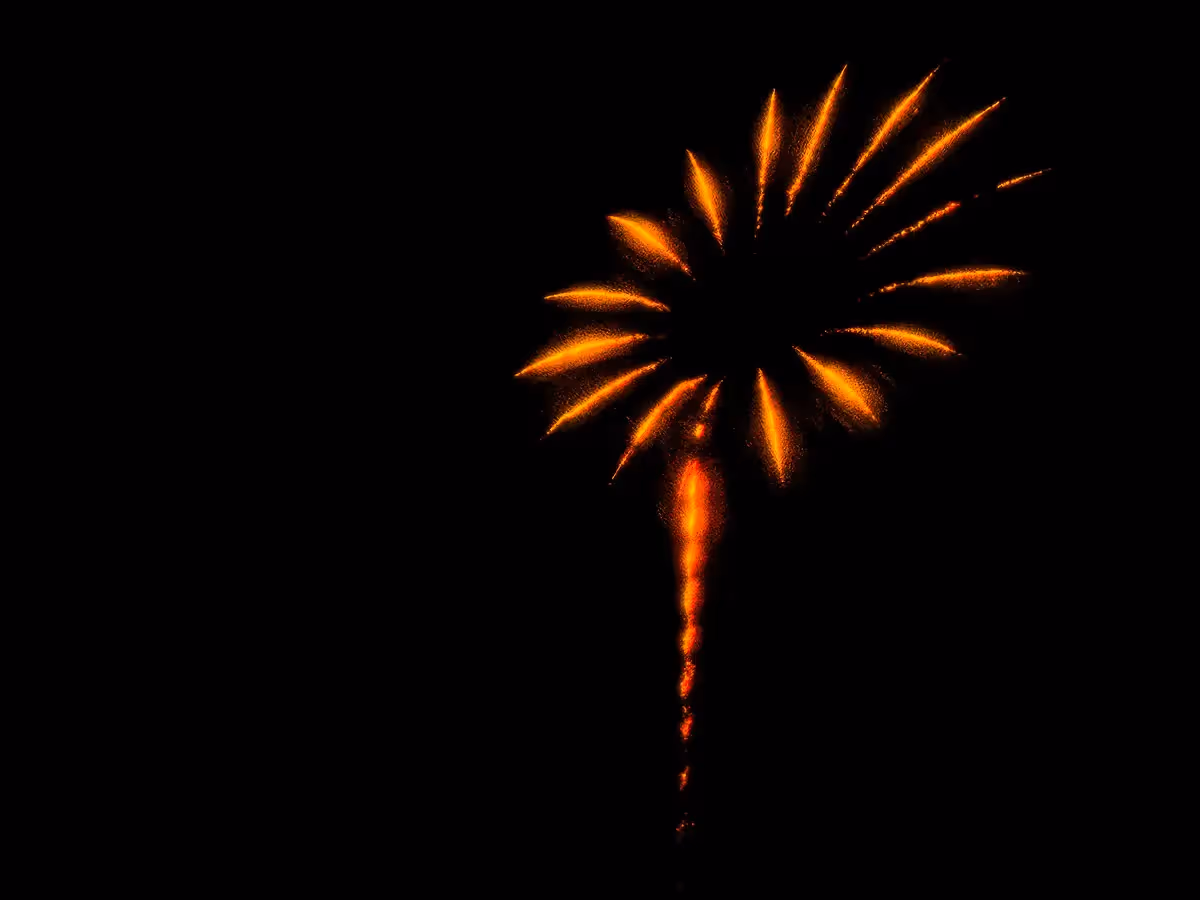 Abstract fireworks: sunburst