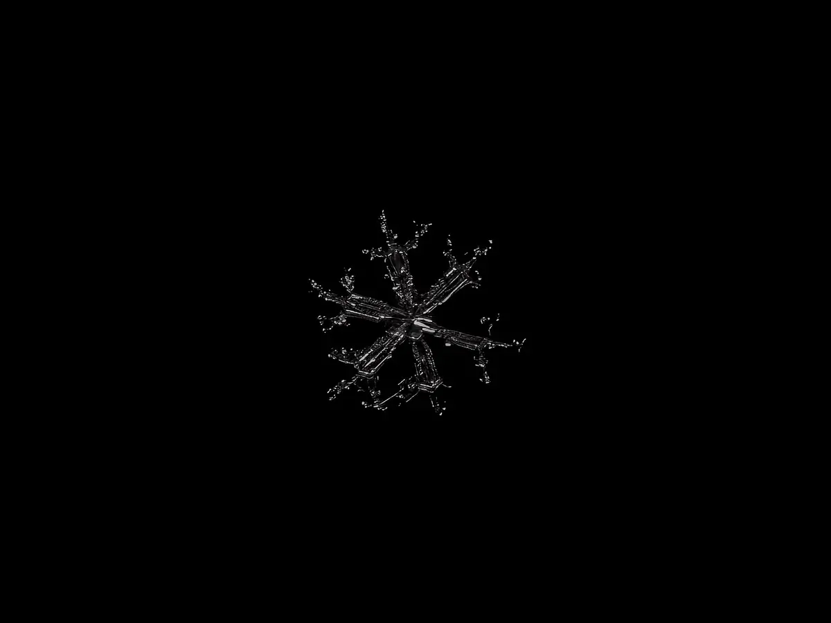 Snowflake with branches