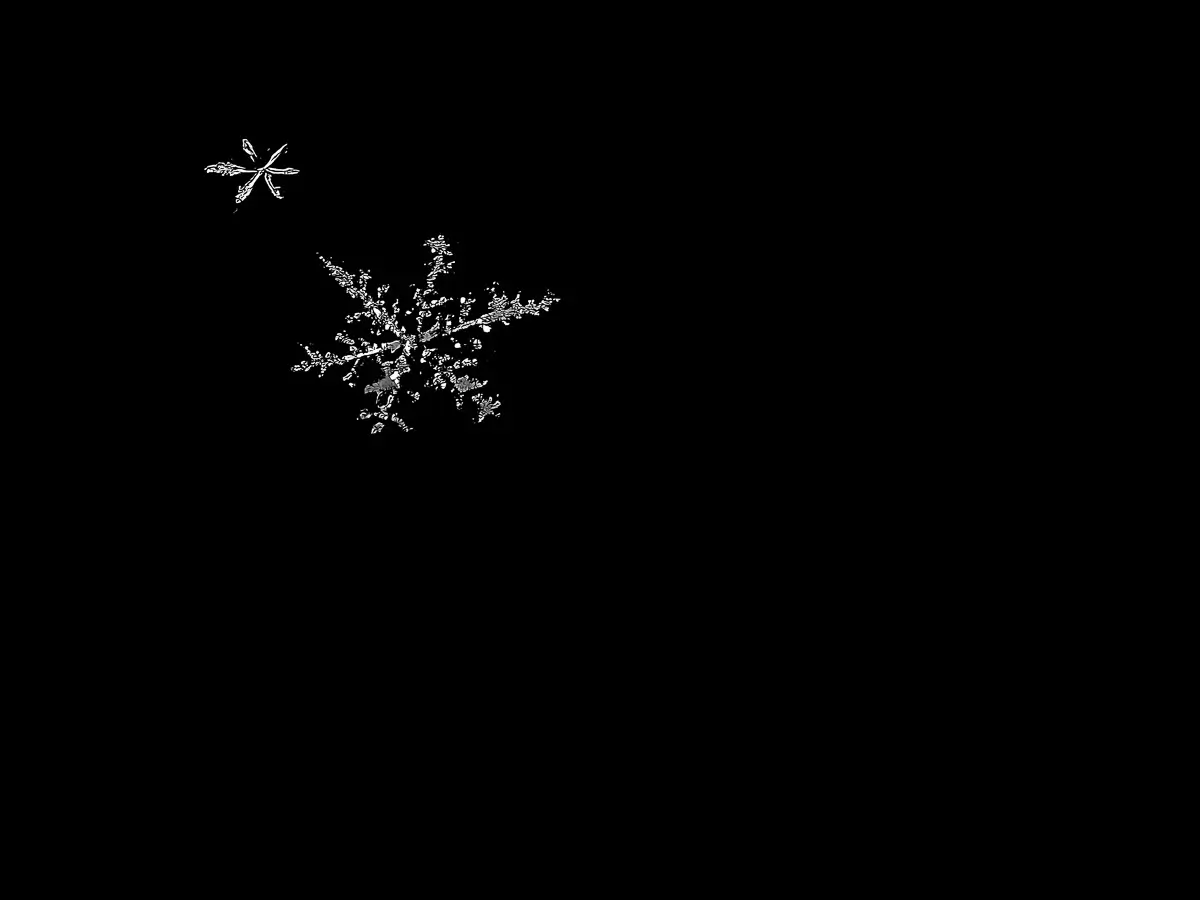 small and large snowflakes