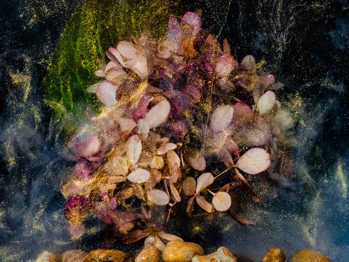 Submerged Series with water, botanicals/flowers and ink:  golden sparkles surround a round bunch of floral leaves