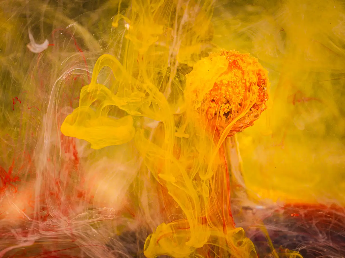 Submerged Series with water, botanicals/flowers and ink:  Yellow and red swirls flow around a balled flower