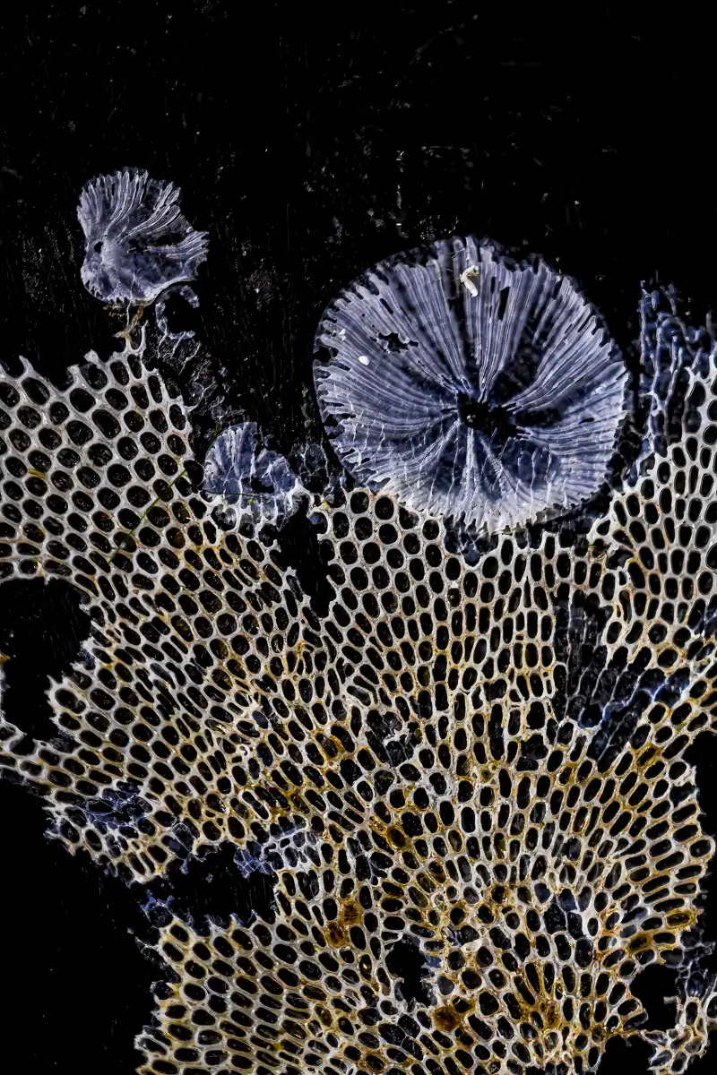 Patterns of rust and barnacles on the hull of a boat out of water.