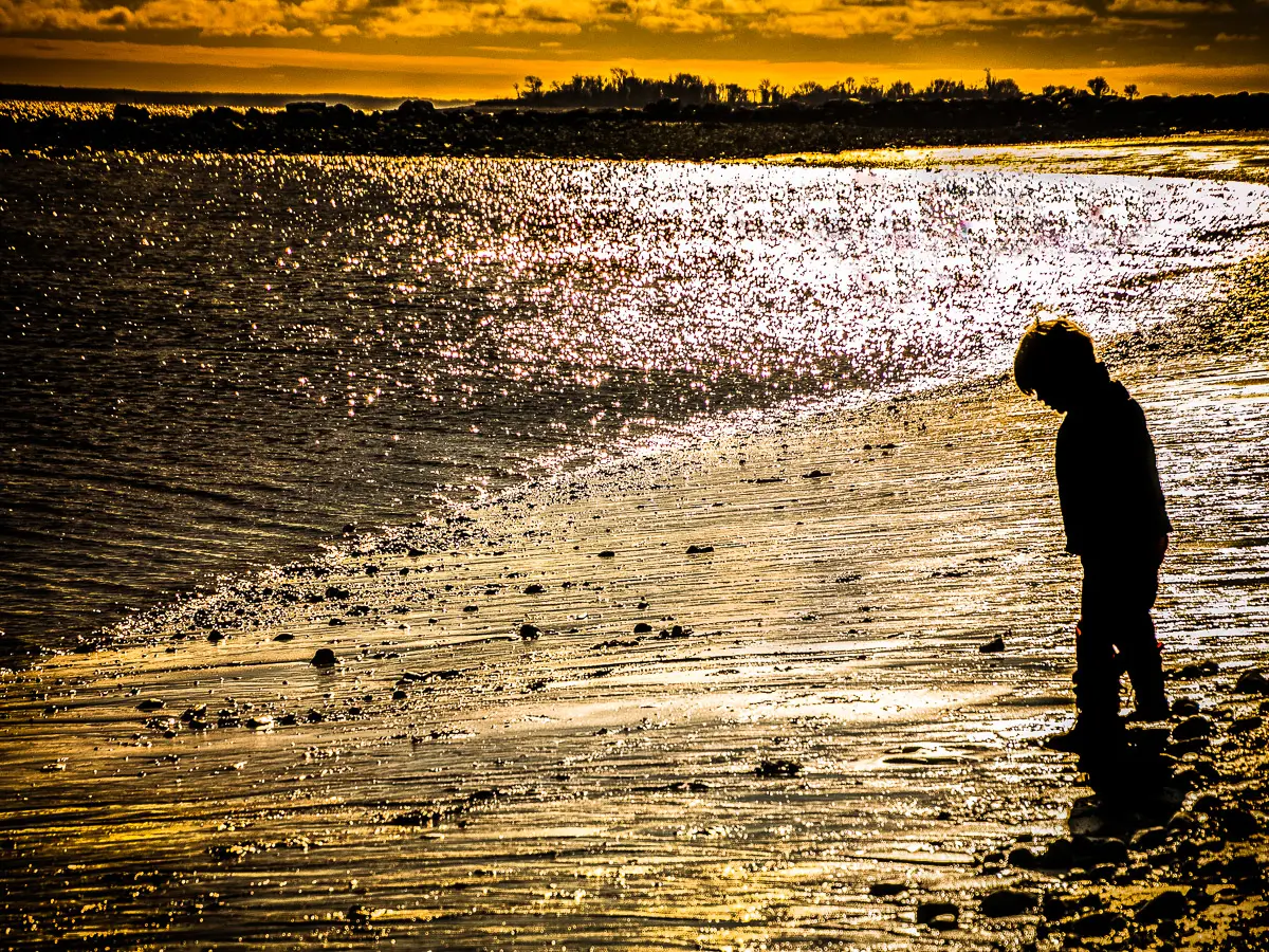 Silhouette of a boy on the beach during a golden sunset