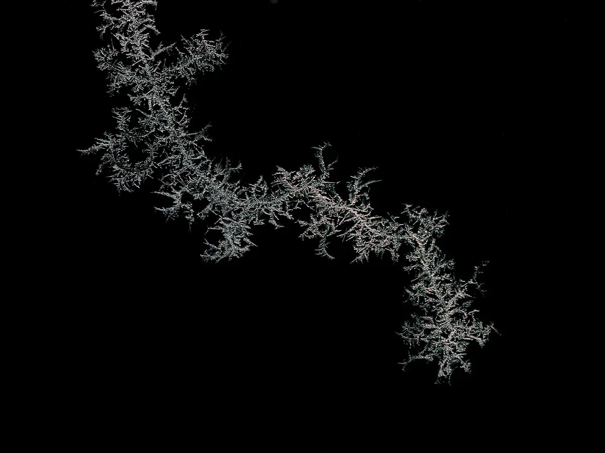 crackled, frozen flakes stuck to a glass wall, black and white