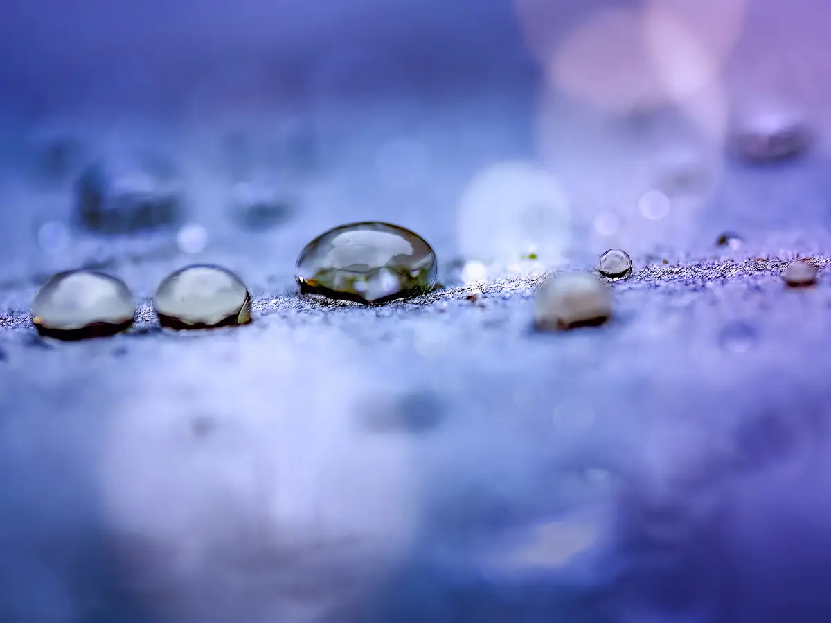 close up of water droplets, purple