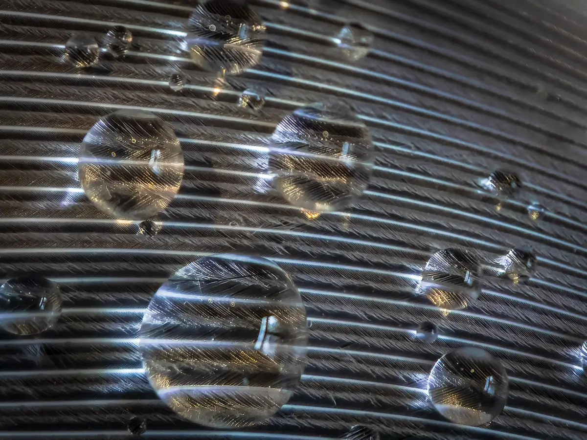macro, abstract of a bird feather with water drops, distorting some of the veins in the feather