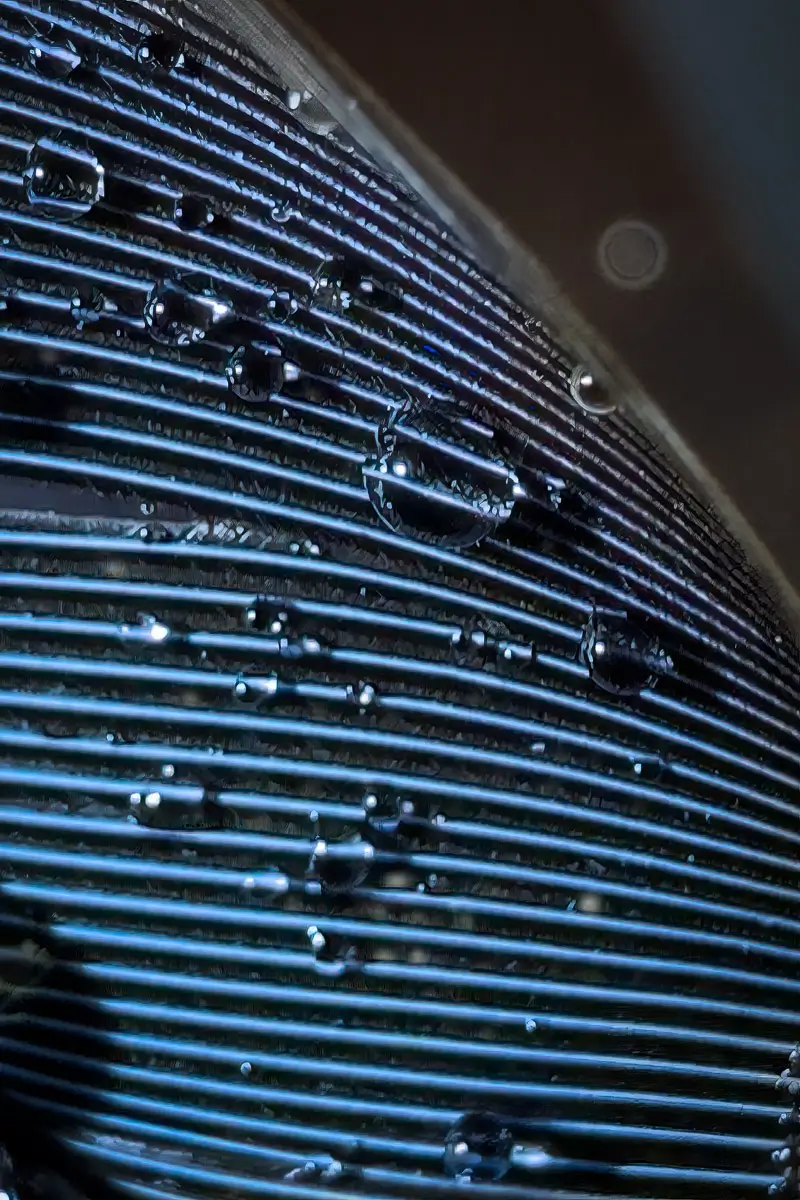macro, abstract of a bird feather with water drops, distorting some of the veins in the feather