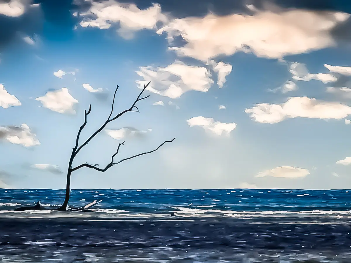 painterly photo of a single leafless tree in the middle of the sea