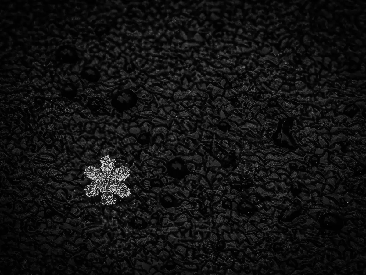 snowflake on the ground