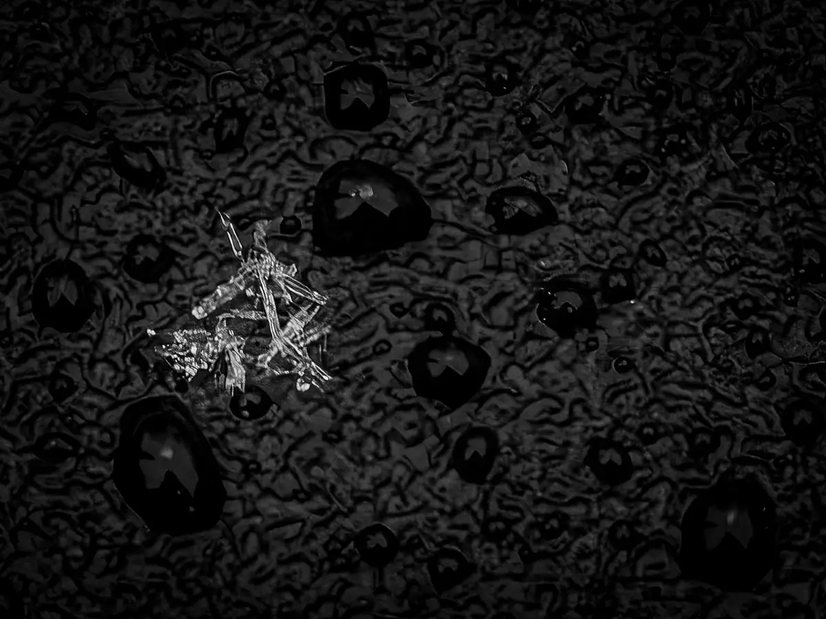 snowflake sticks on the ground