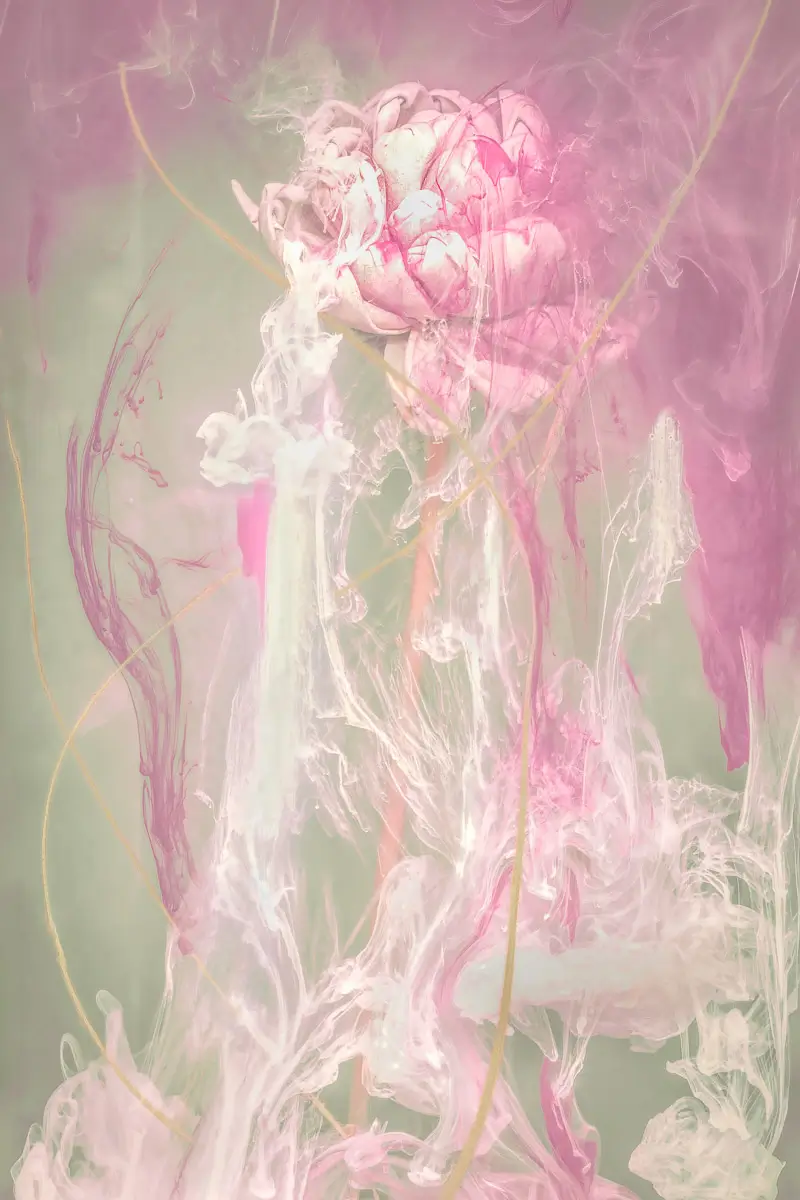 Unfurling: Romantic swirls of ink flow around the submerged flower