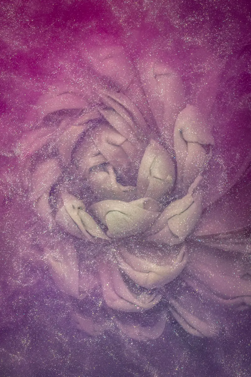 Submerged Series with water, botanicals/flowers and ink: Radiant Silence has swirls of glittery ink with a top flower peaking out