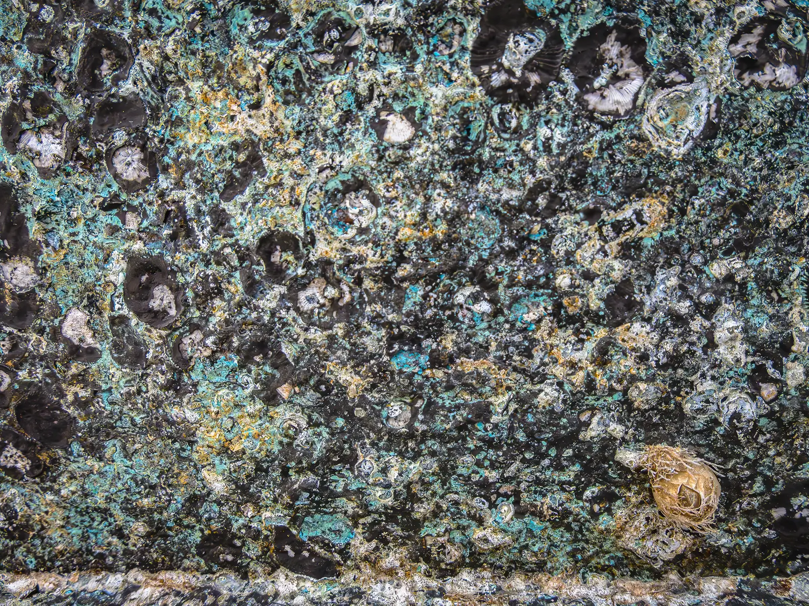 Patterns of rust and barnacles on the hull of a boat out of water.