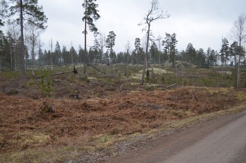 Image link leading to main news article