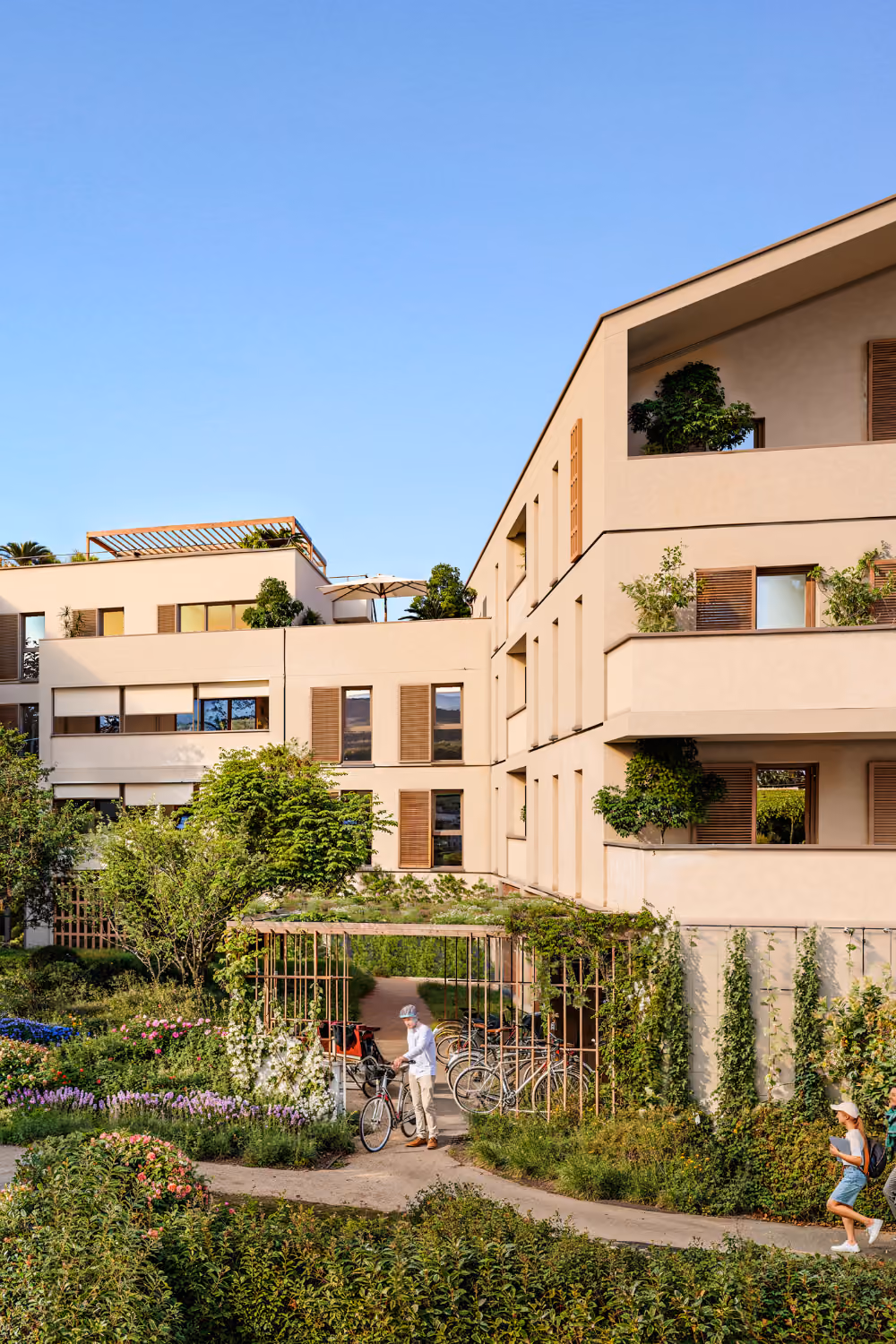 Programme immobilier neuf - appartements neufs à vendre