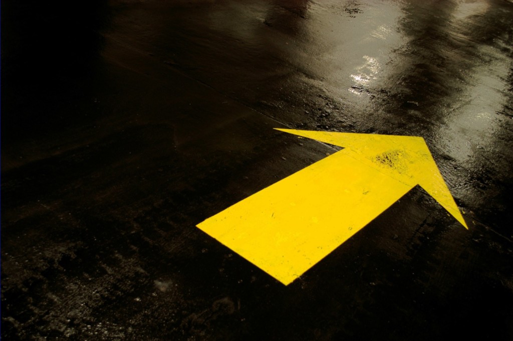 We Shall Burn Bright