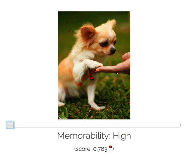 Large-scale Image Memorability